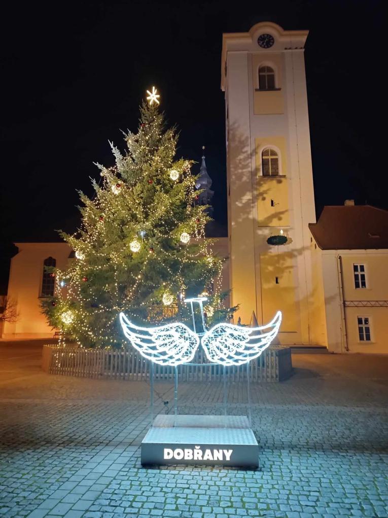 strom a křídla