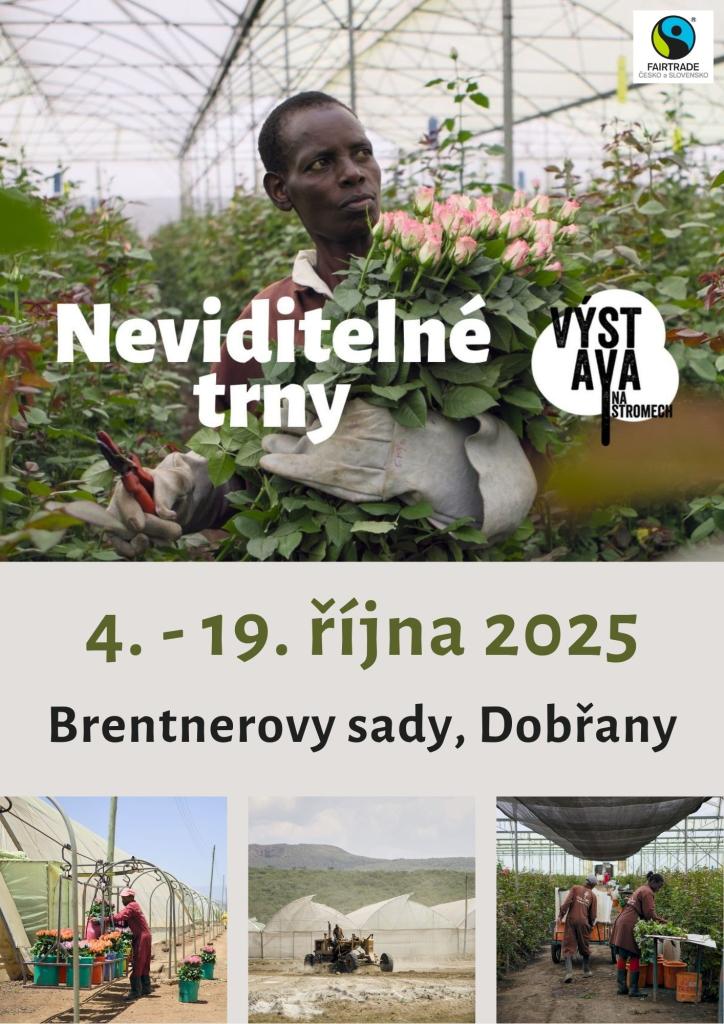výstava na stromech