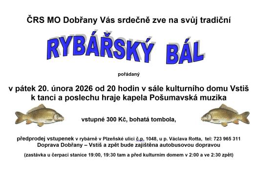 bál, ples