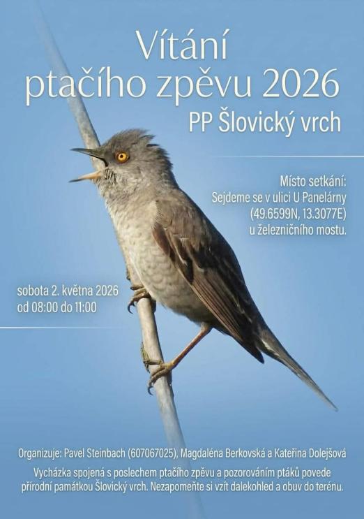 vítání ptačího zpěvu