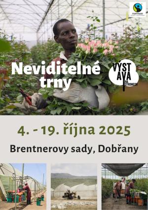 výstava na stromech