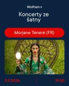 koncert Morjane Ténéré
