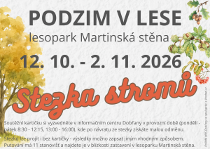 podzimní stezka stromů 
