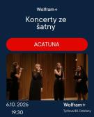 koncert v KKC Wolfram